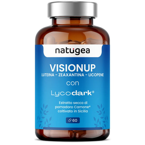 Vision Supplement with Lutein, Zinc and Vitamin C – Lycopene from Camone Tomato and Black Blueberry – 60 Tablets