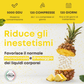 Bromelina Forte Drenante 5000 GDU/g reali. Vegana. Detox Drenante Forte Anticellulite. Una Soluzione Naturale per una Silhouette Invidiabile