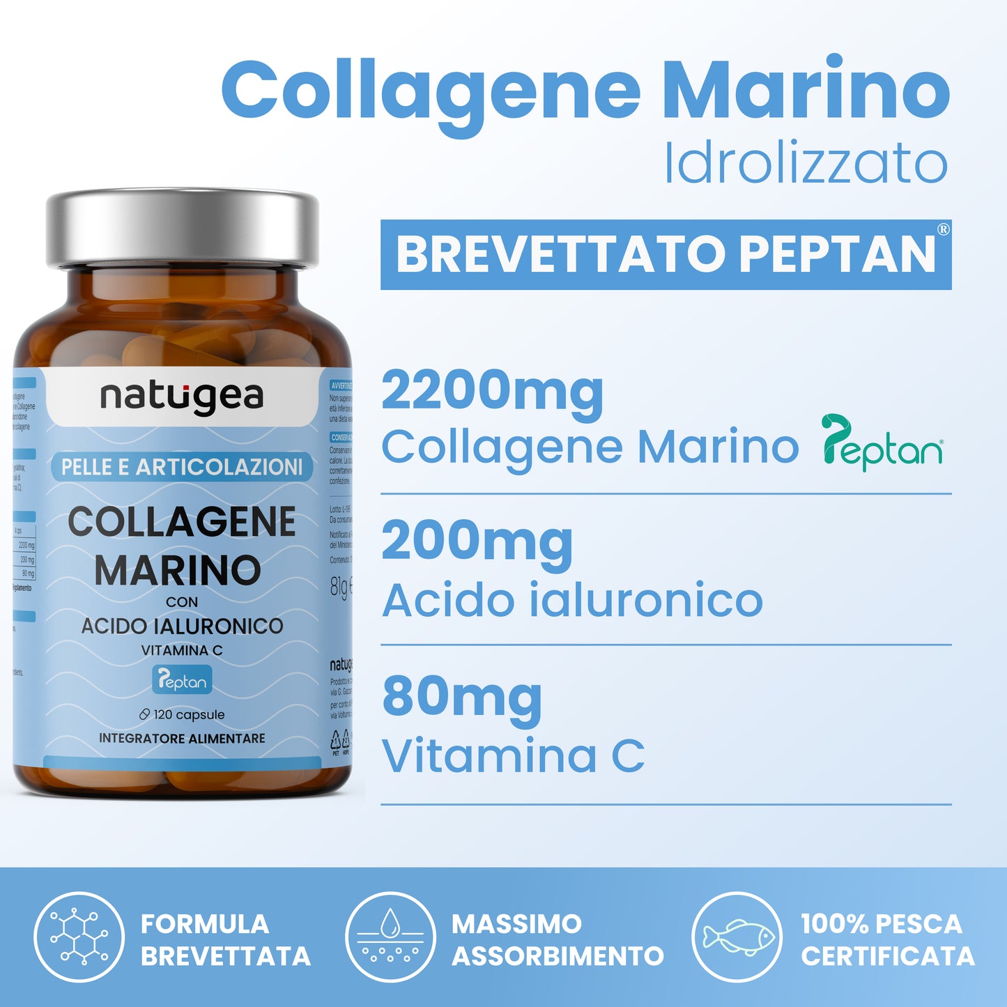 Collagene Acido Ialuronico. 2480 MG/g con PEPTAN® F HD. Collagene Idrolizzato con Vitamina C